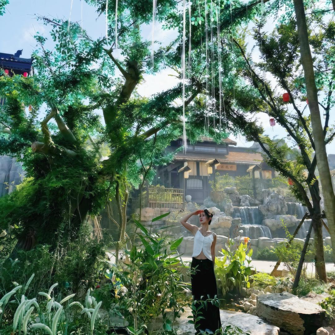 张毛豆小号