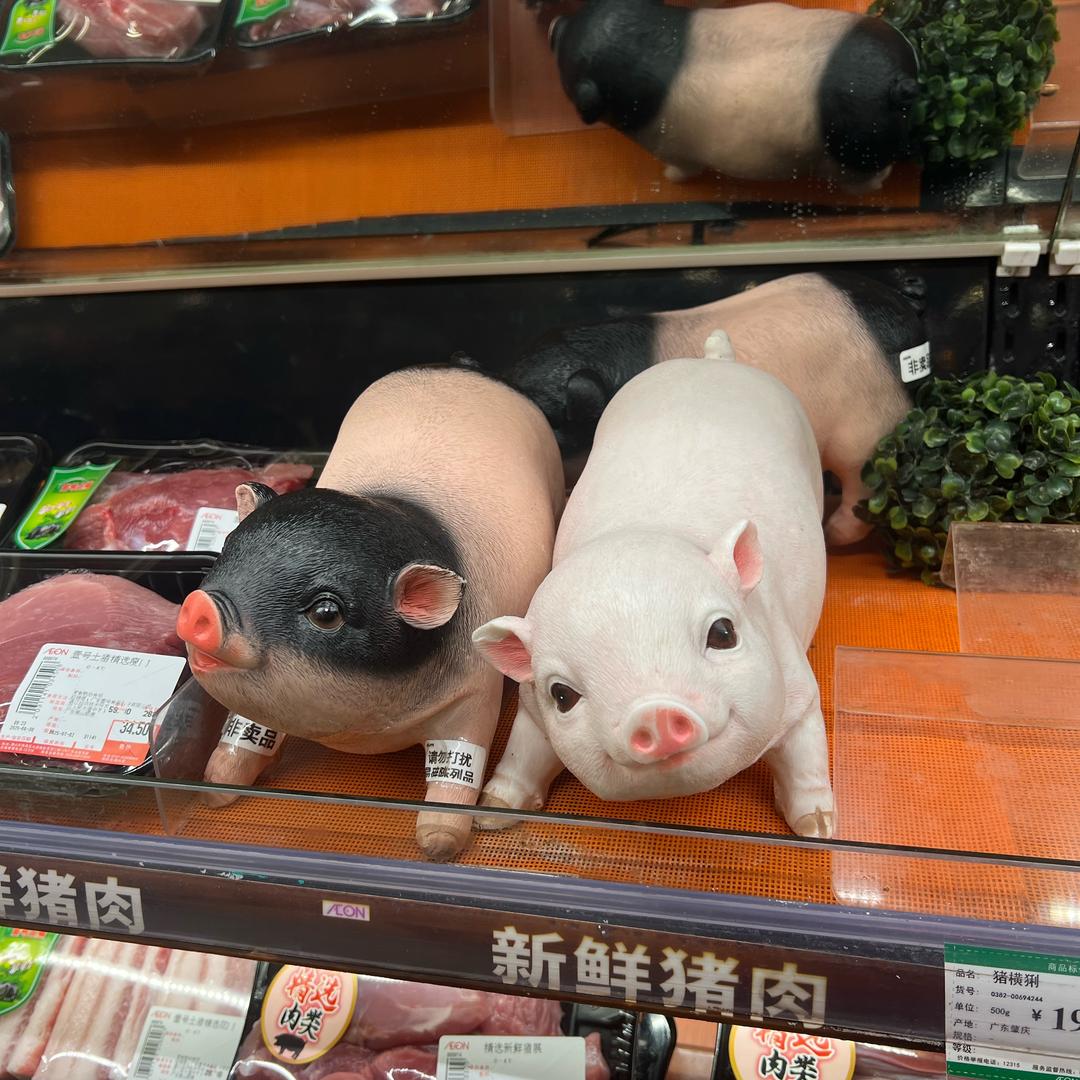 命运✡️