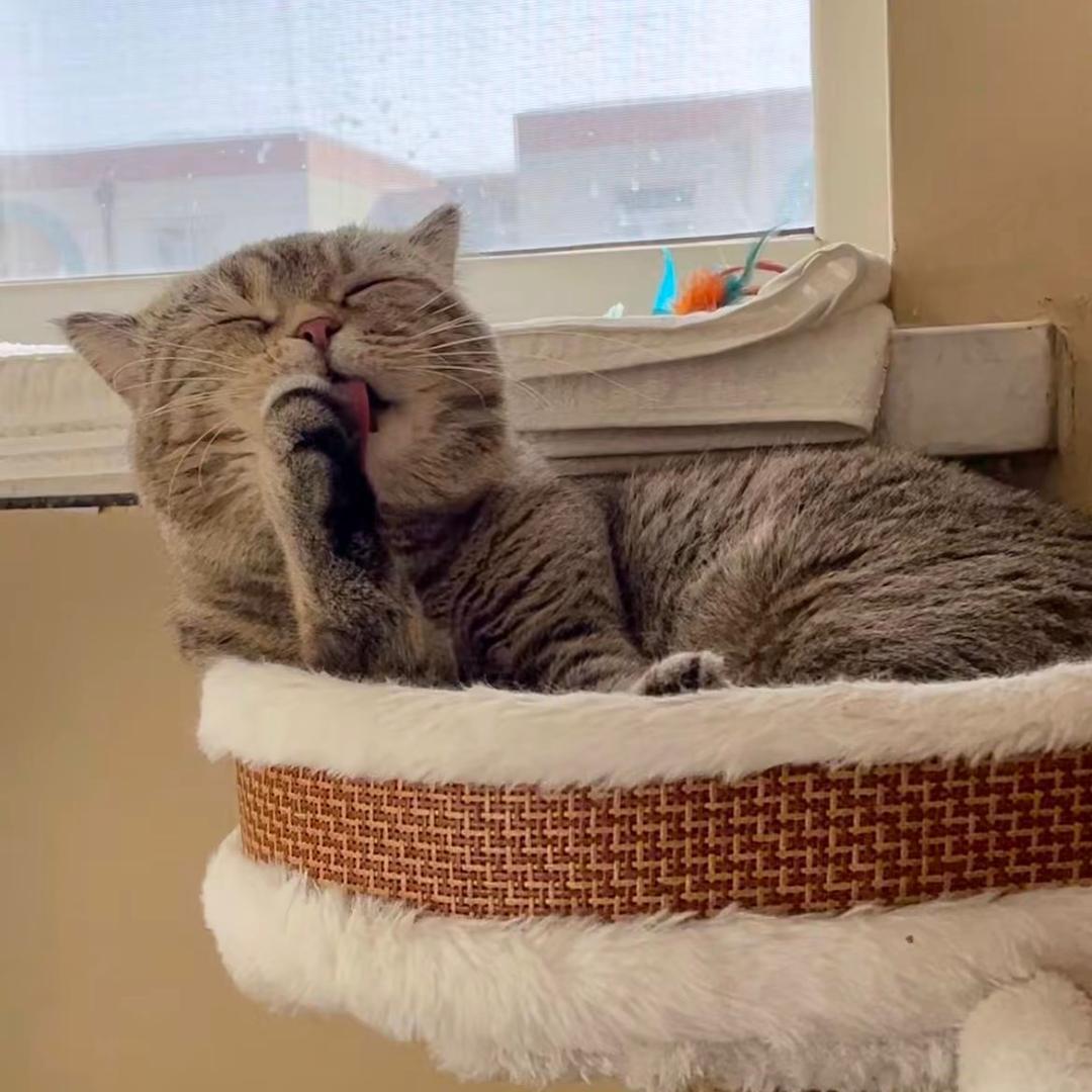 幺幺儿专用小马甲