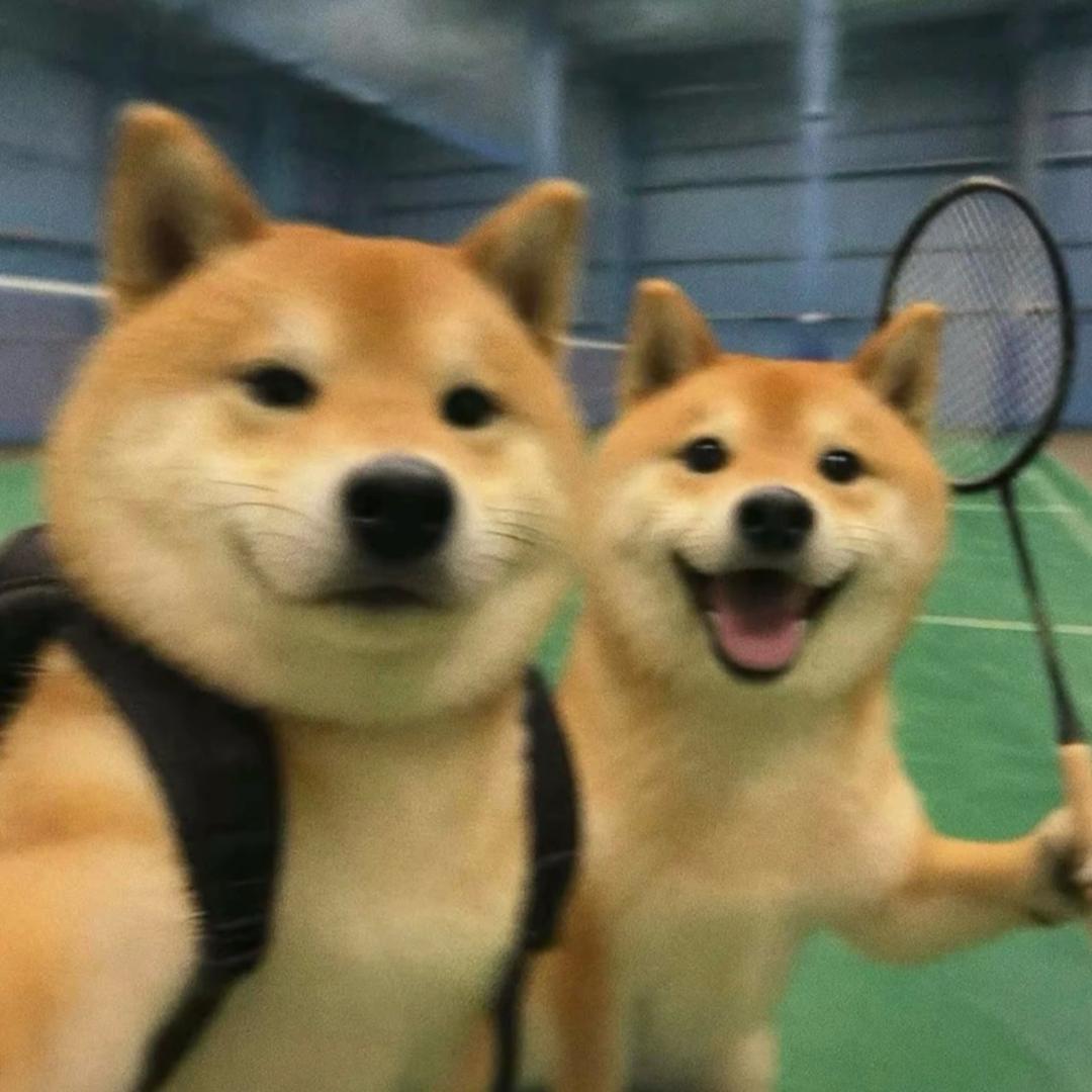 窝弑煮包_