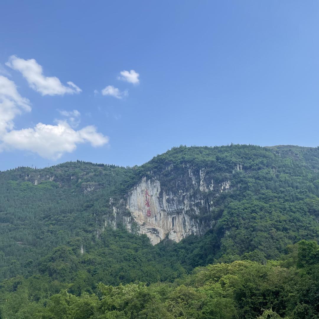 侏罗纪土特绿植