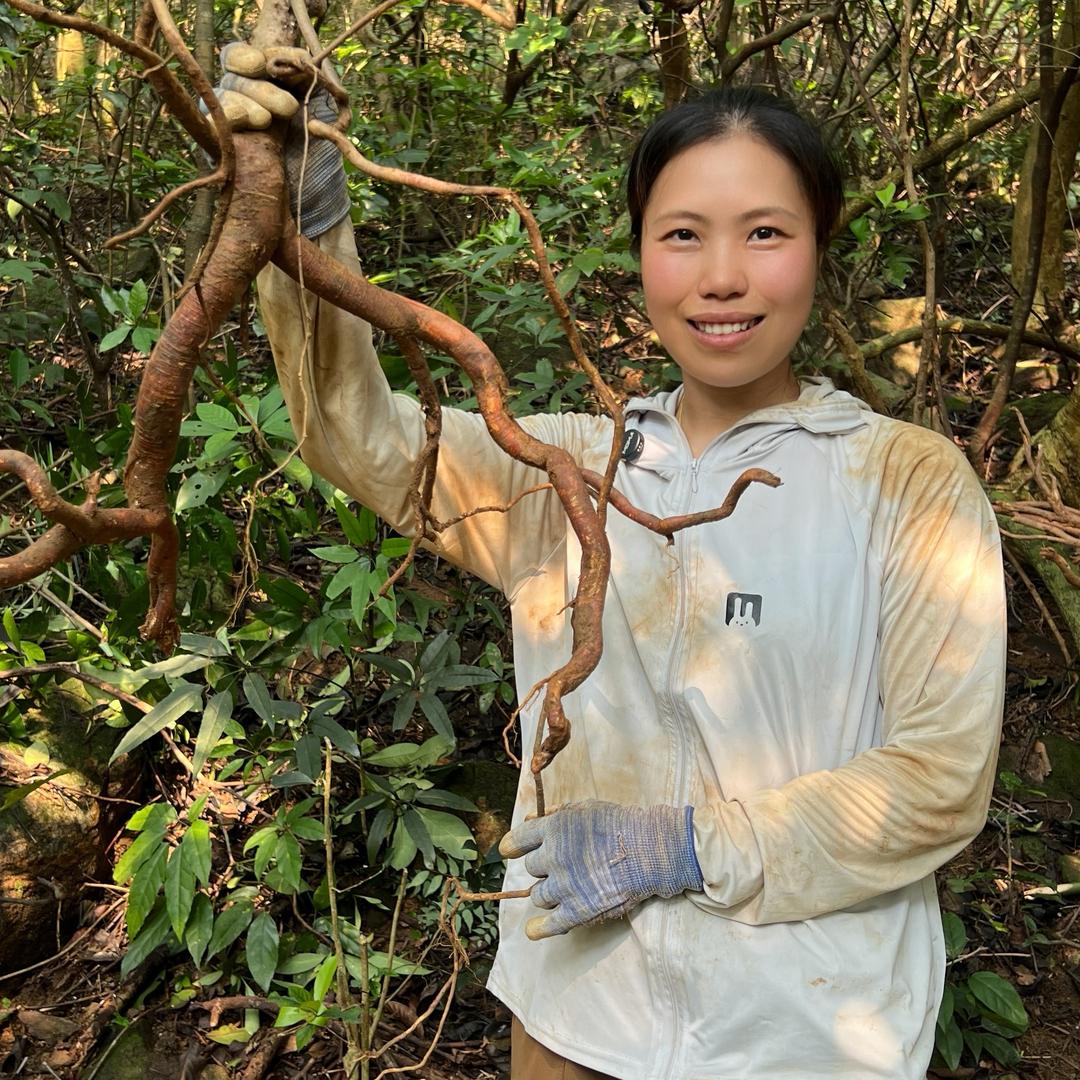 山货阿珍