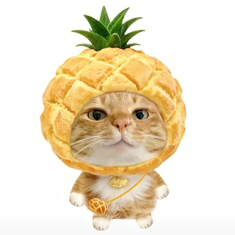 小新萌耶