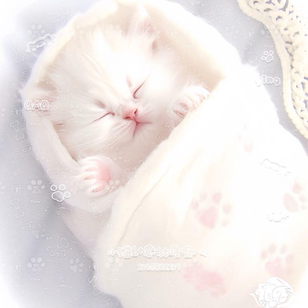 六月广东下小雨