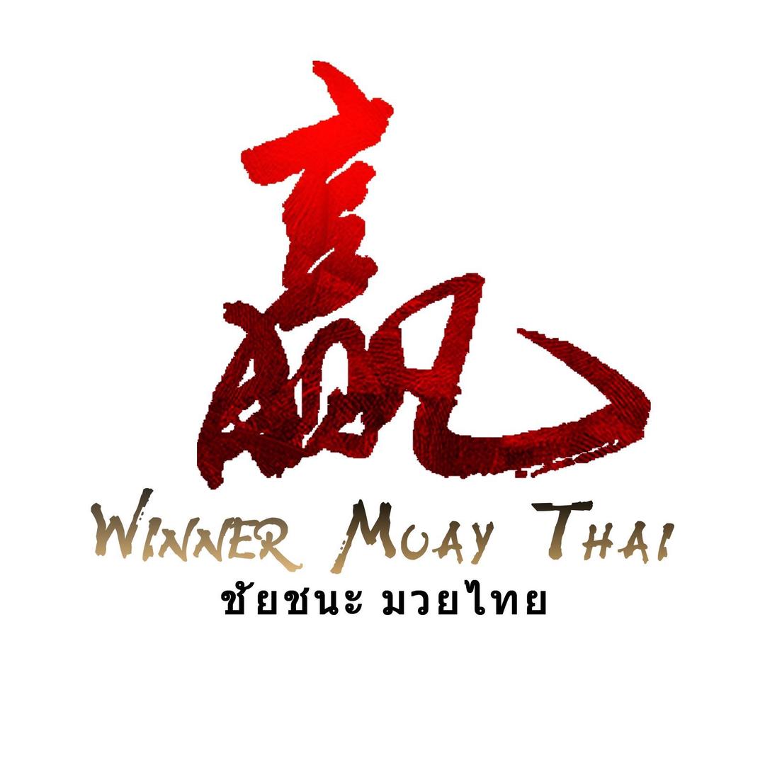 赢团队搏击
