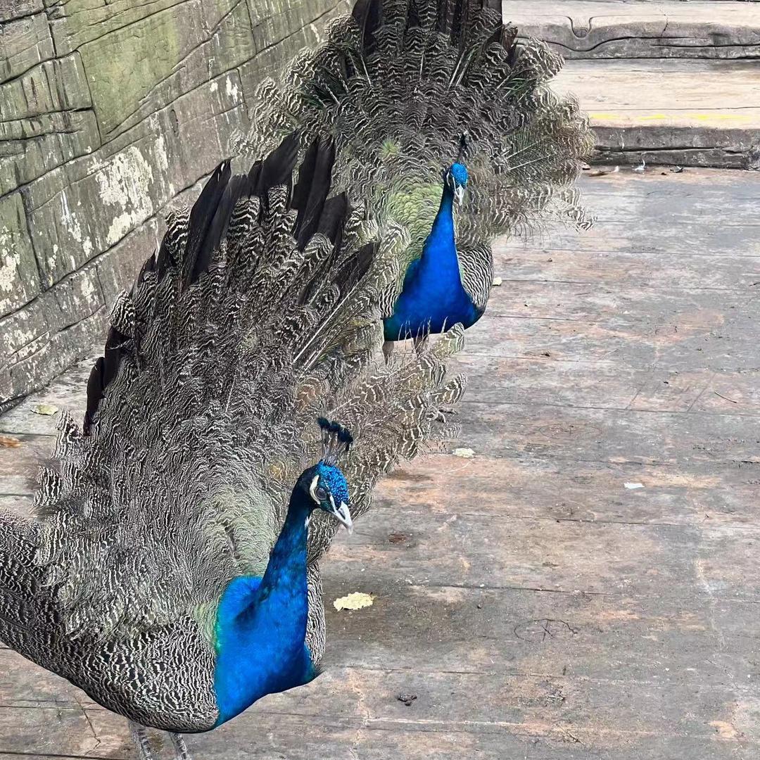 一切都会越来越好