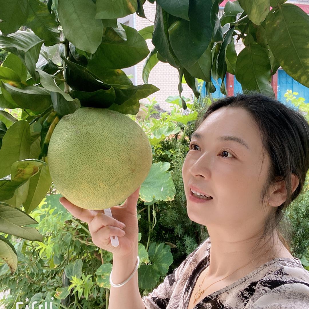 杨美妮