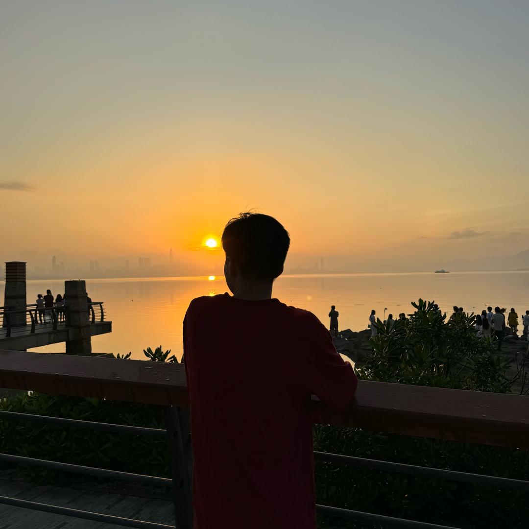 迟上岸