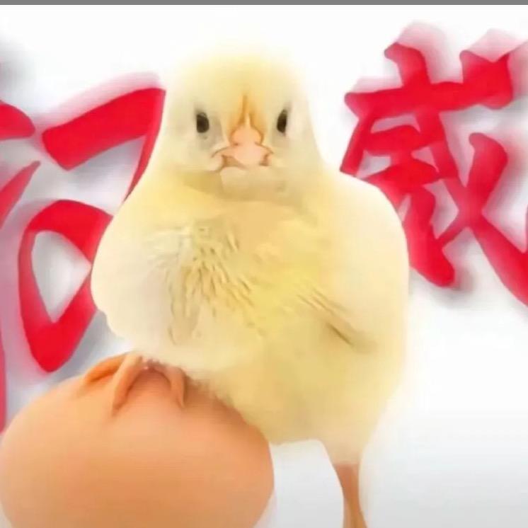飓风战士