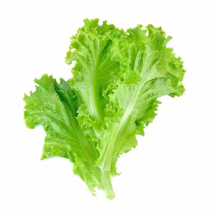 渭宁