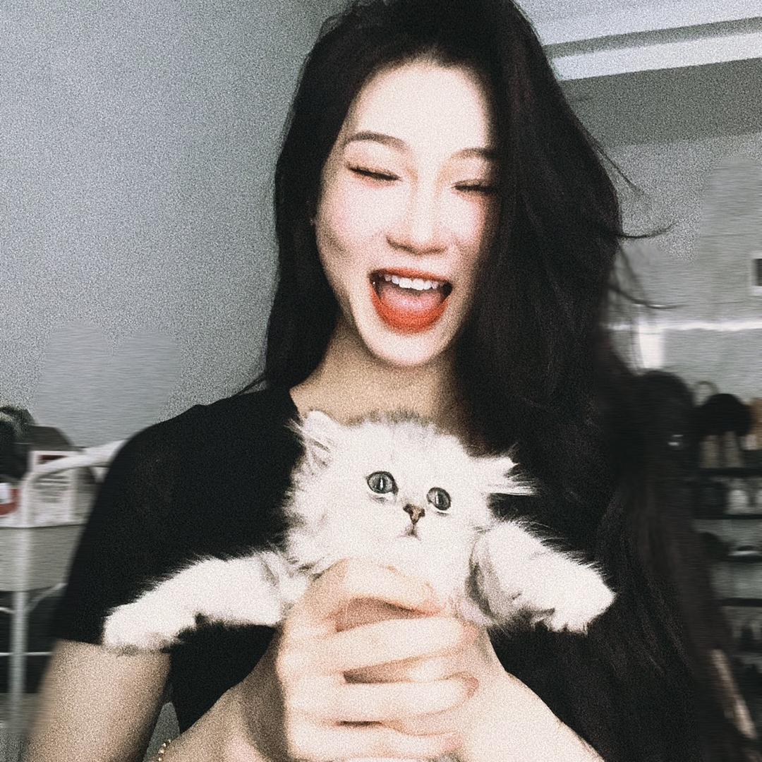 香菜猪🦁️