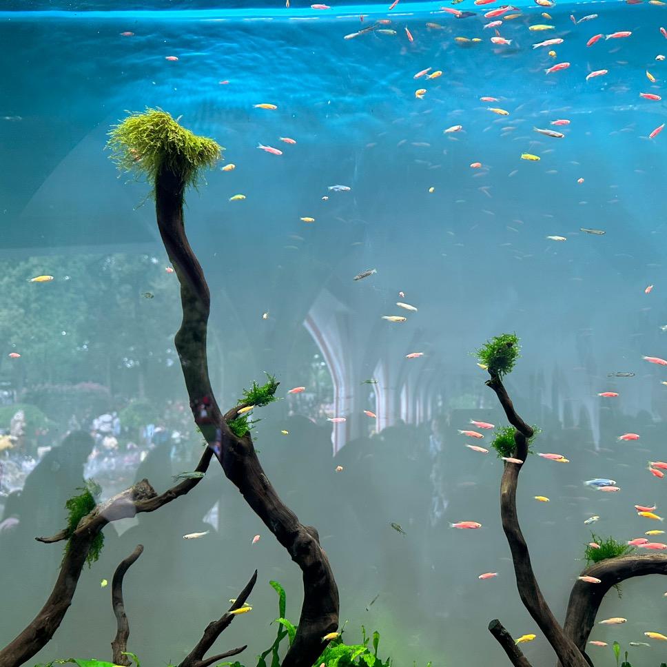 上午的阳光☀️