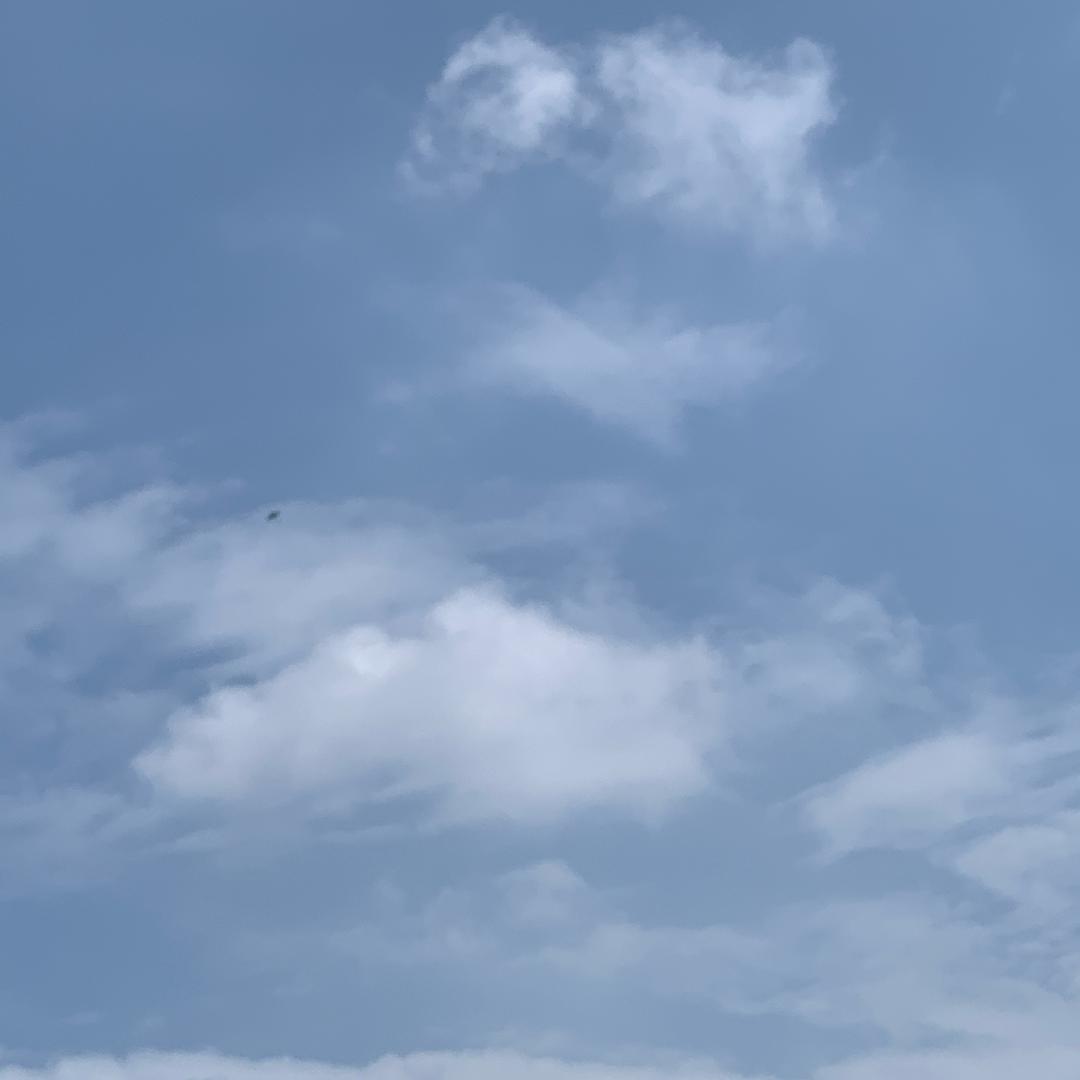 无忧啊