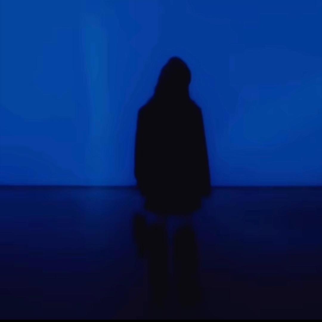 张鱼哥