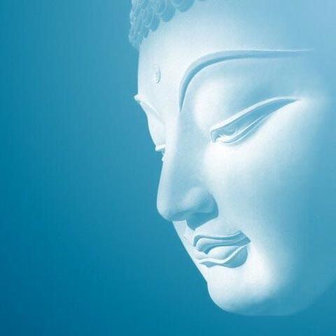 非上上智无了了心