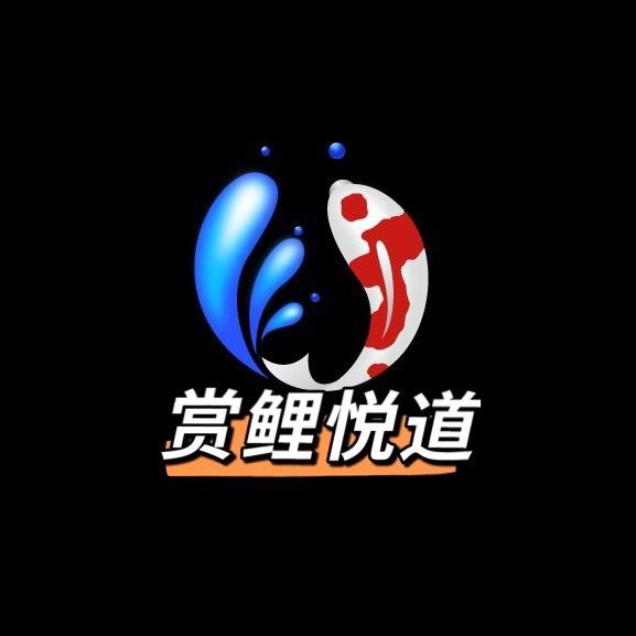 赏鲤悦道