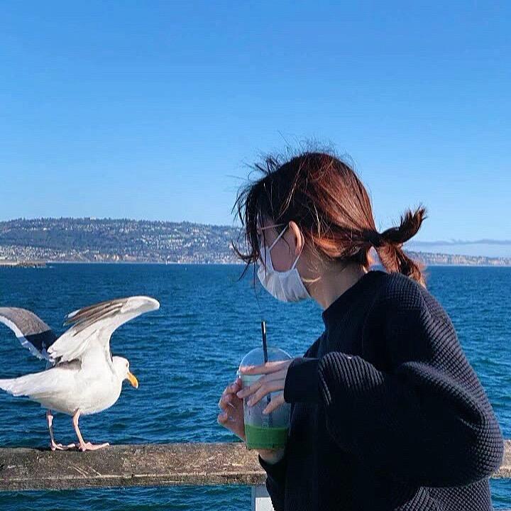 梦想花园