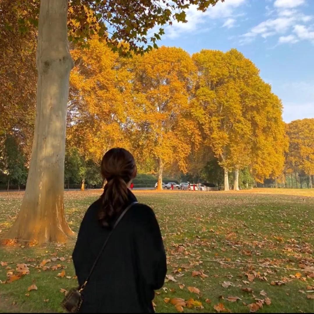 哈哈哈哈哈哈哈。