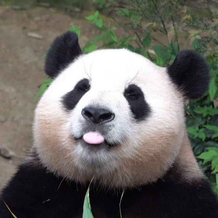 ༊ღ᭄໑ຼₒ໑ຼ₄ꦿ随心♥ೄ᭄࿐: ໑ຼ