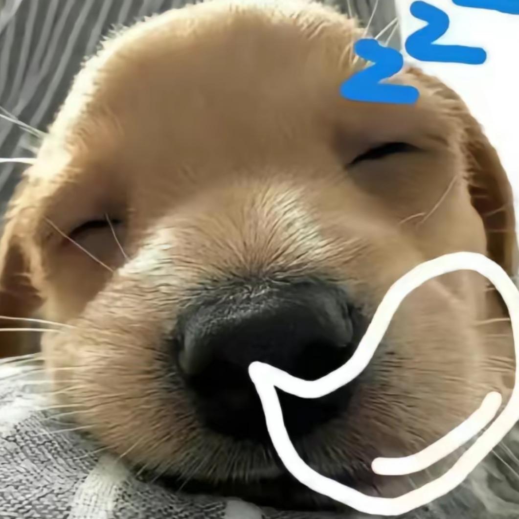 睡觉觉