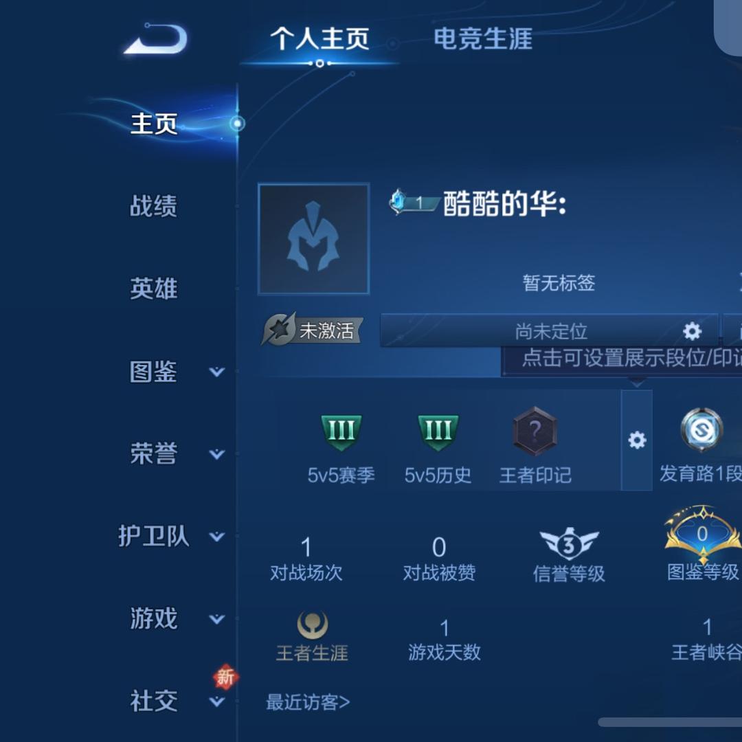 酷酷的华
