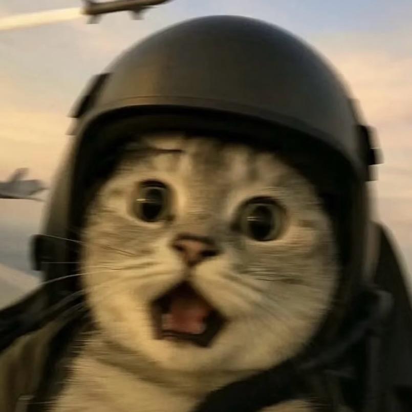 傅盆大猪潮玩（旅游归来版）