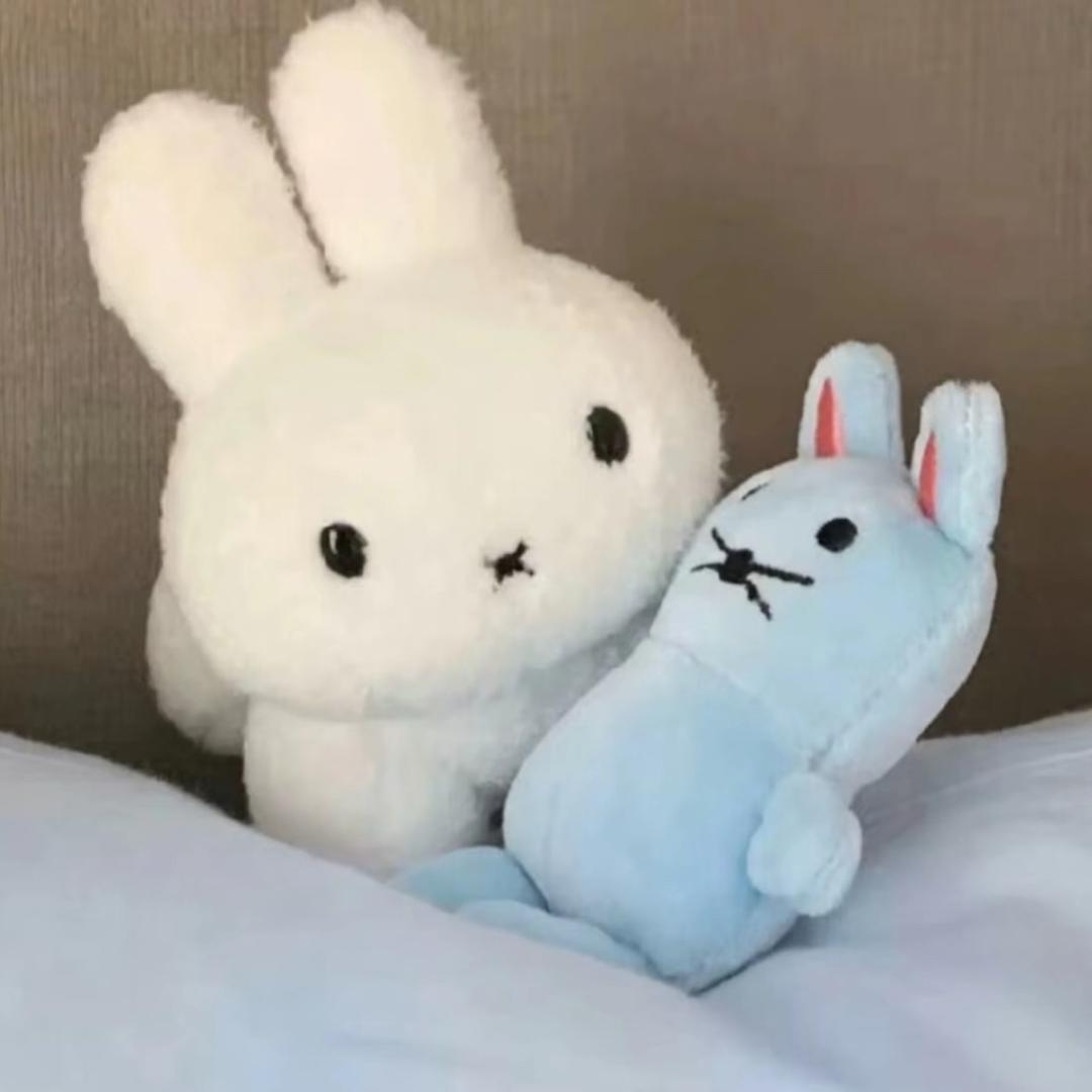 小猫 ฅ
