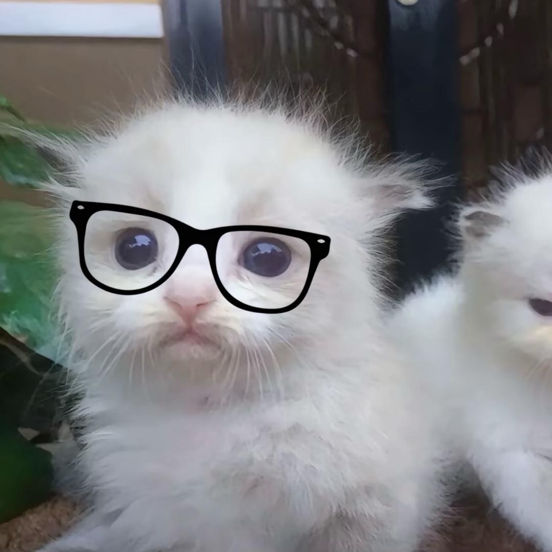 @超爱淀粉肠.