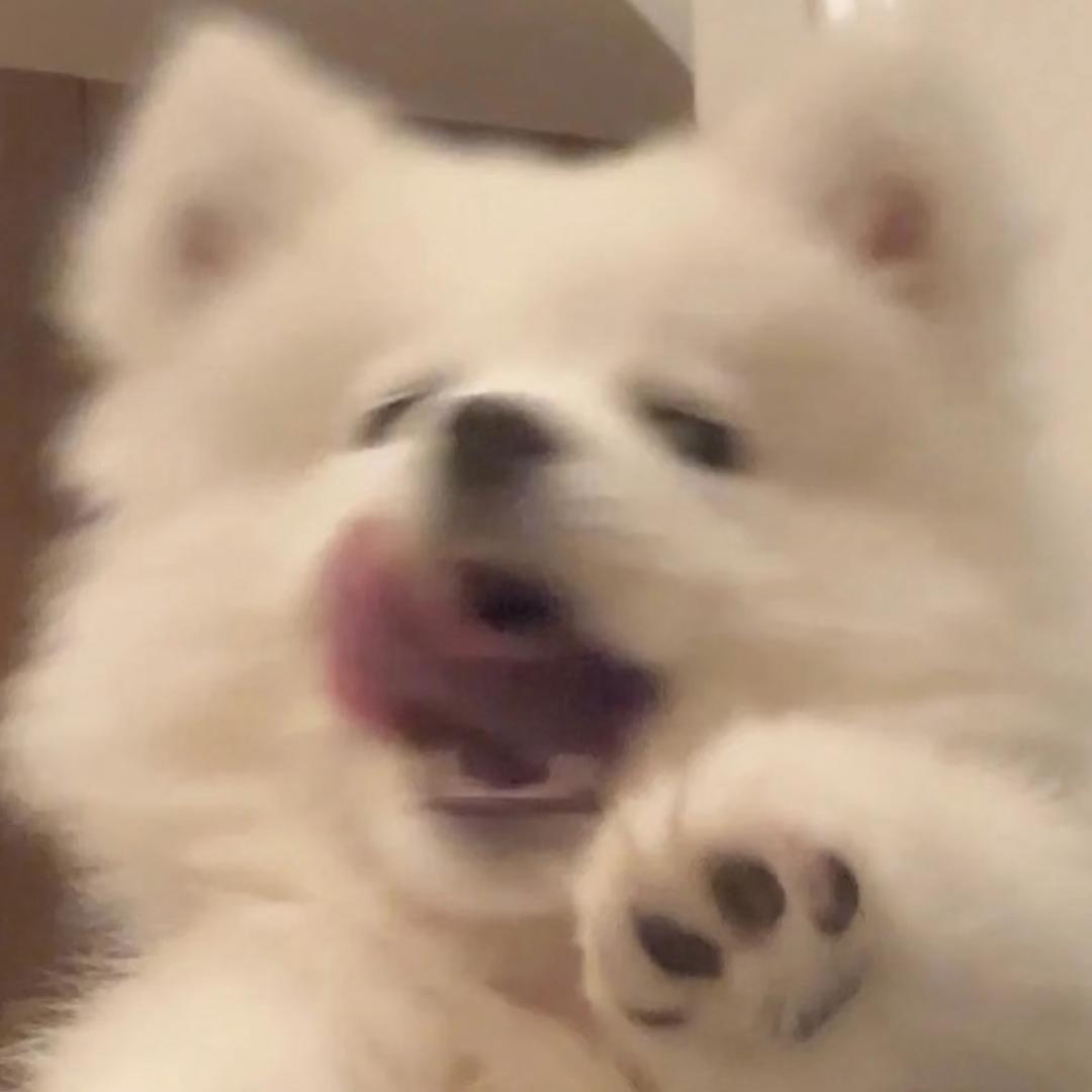 周至川