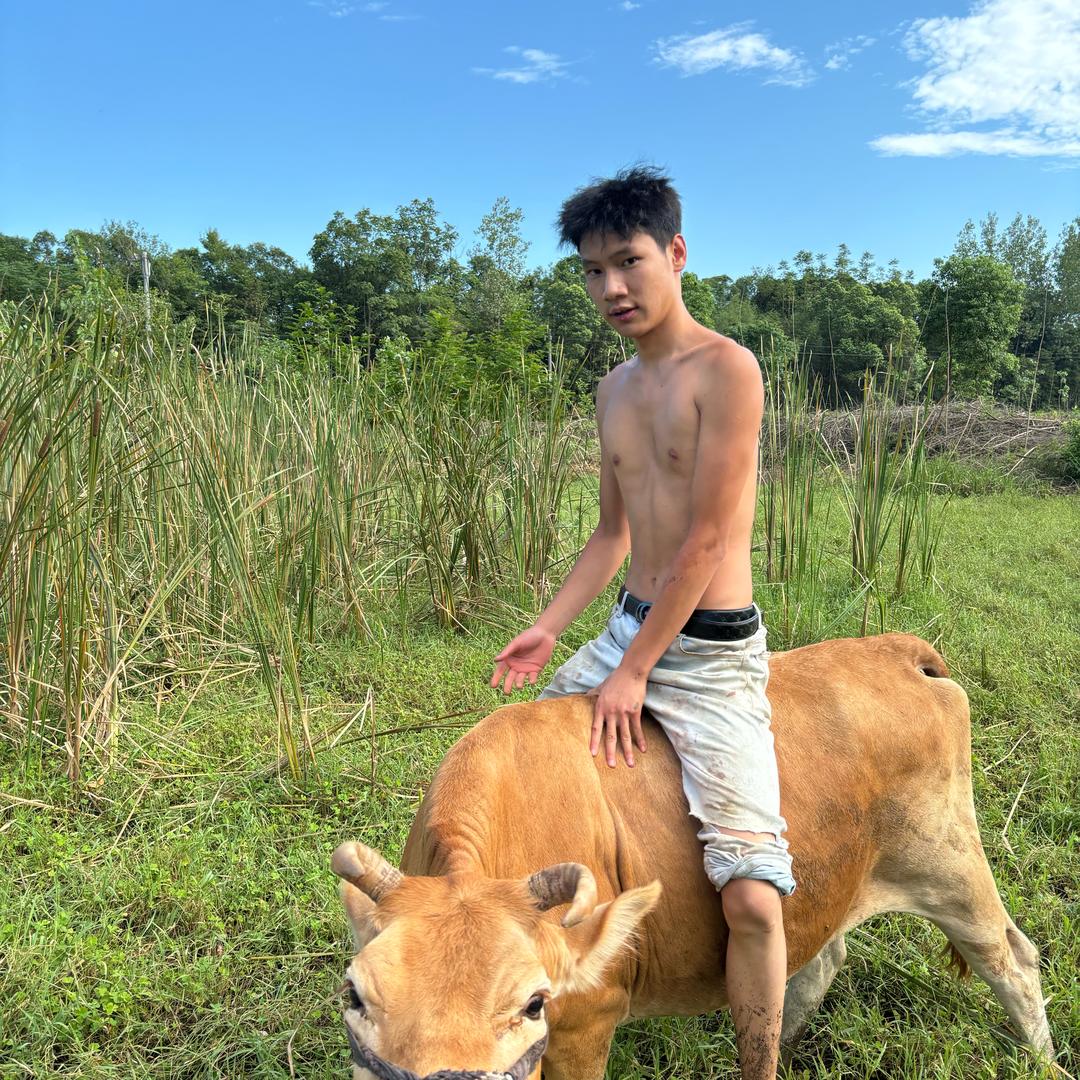 鲜牛肉批发（07年小伙）