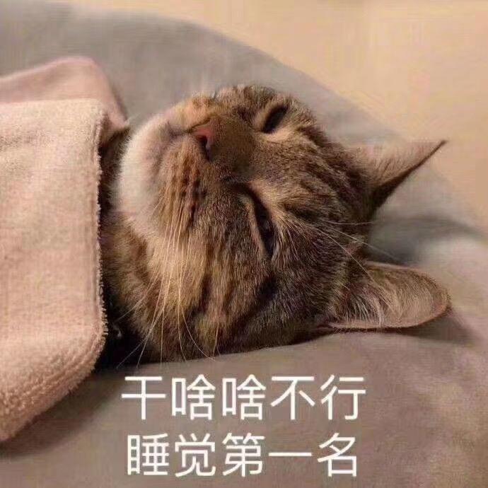 卡皮巴拉（^ω^）