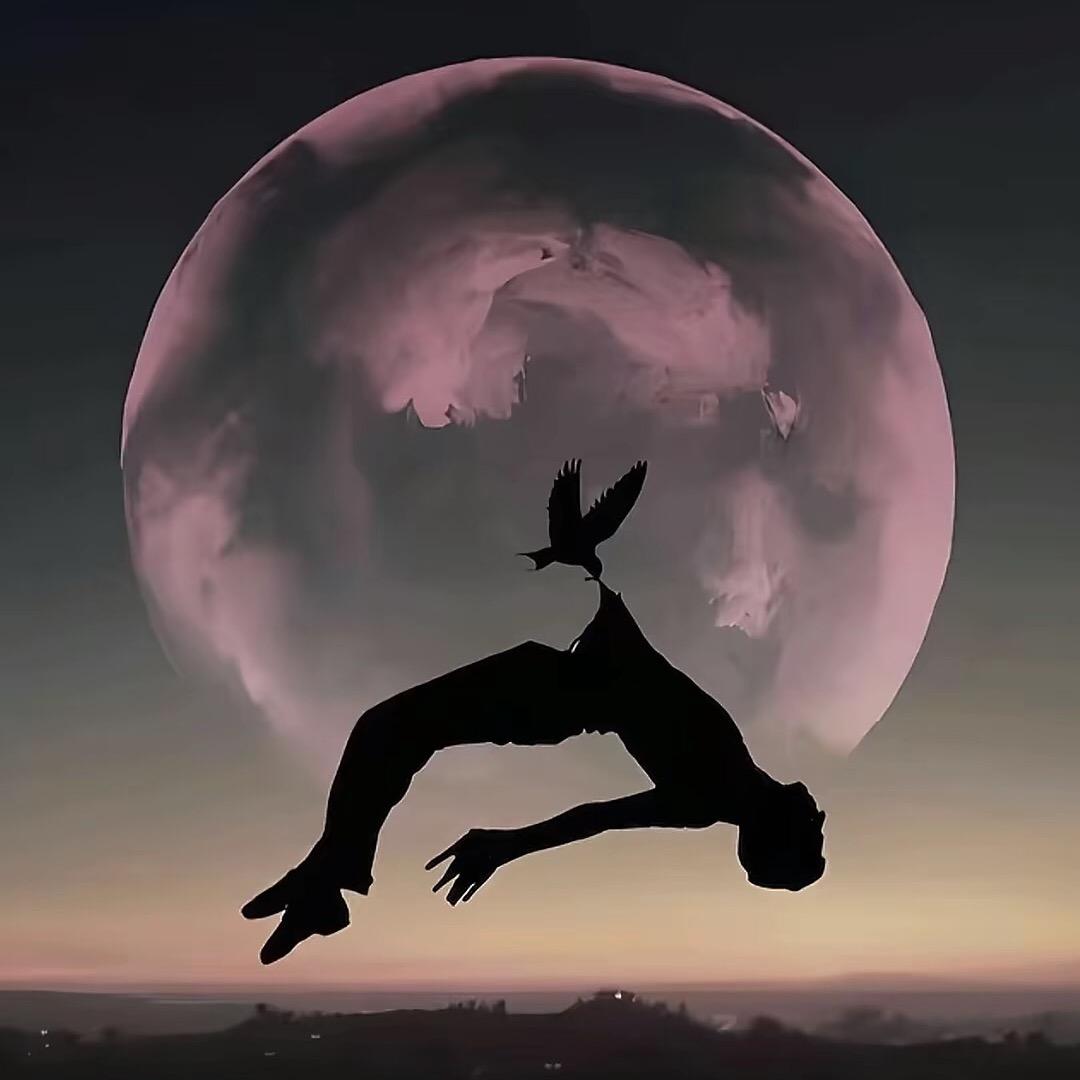 北海（三角洲行动）