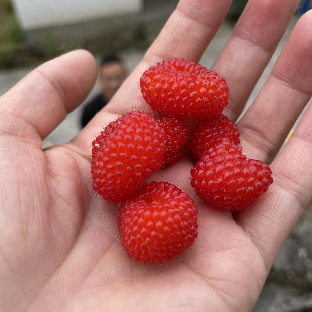 钞票很多詹