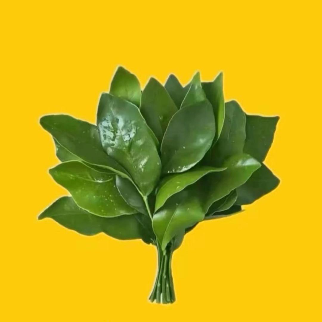 w，