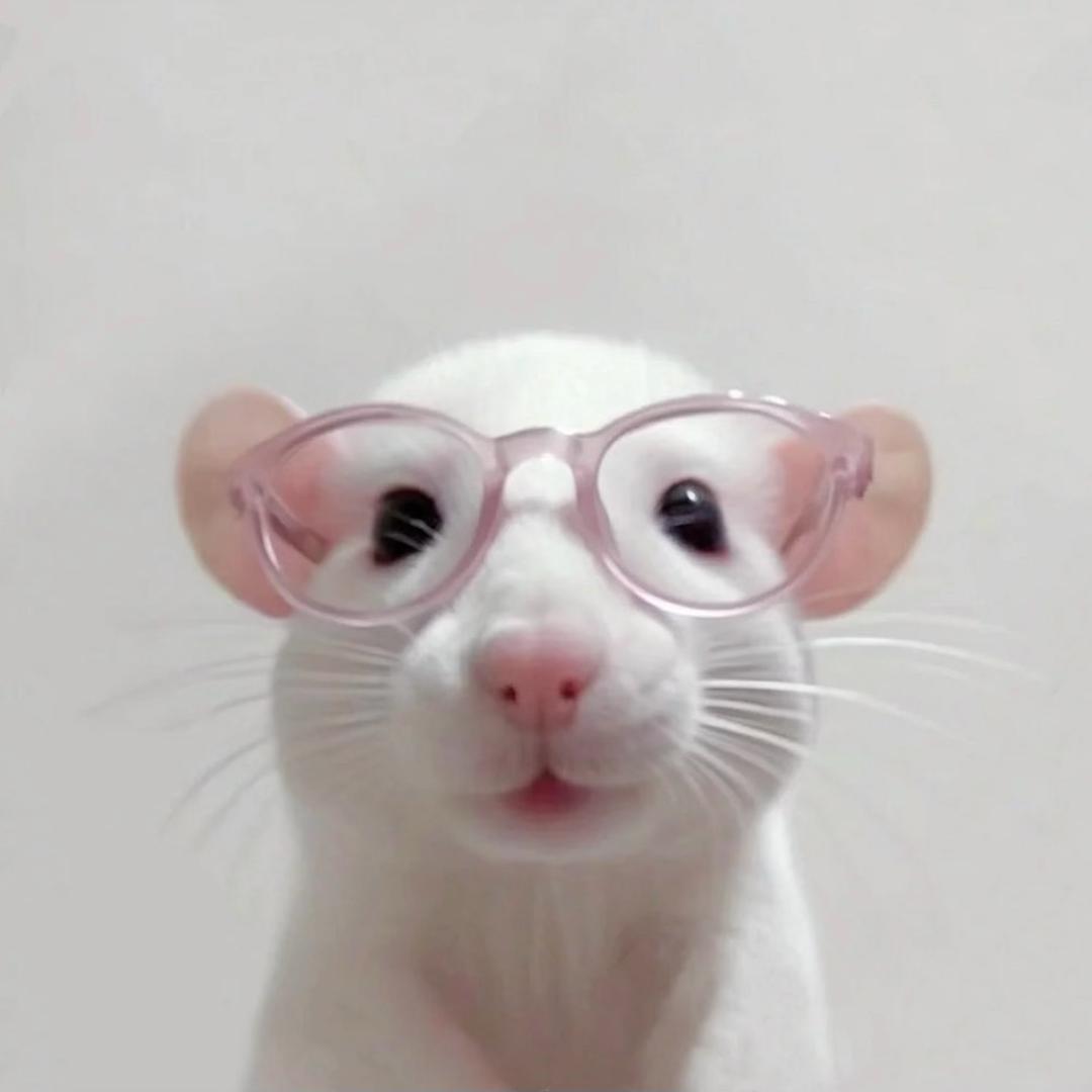 小 丫