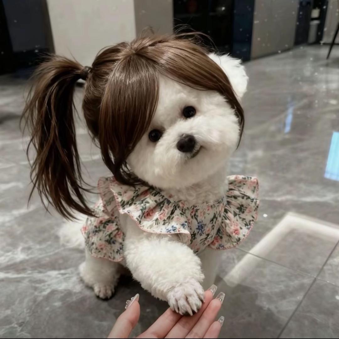 安奈可可·