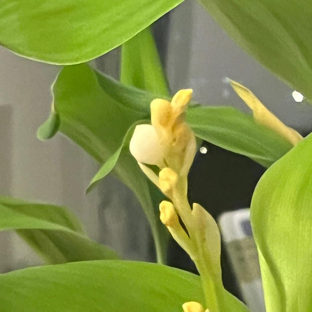 溟一一