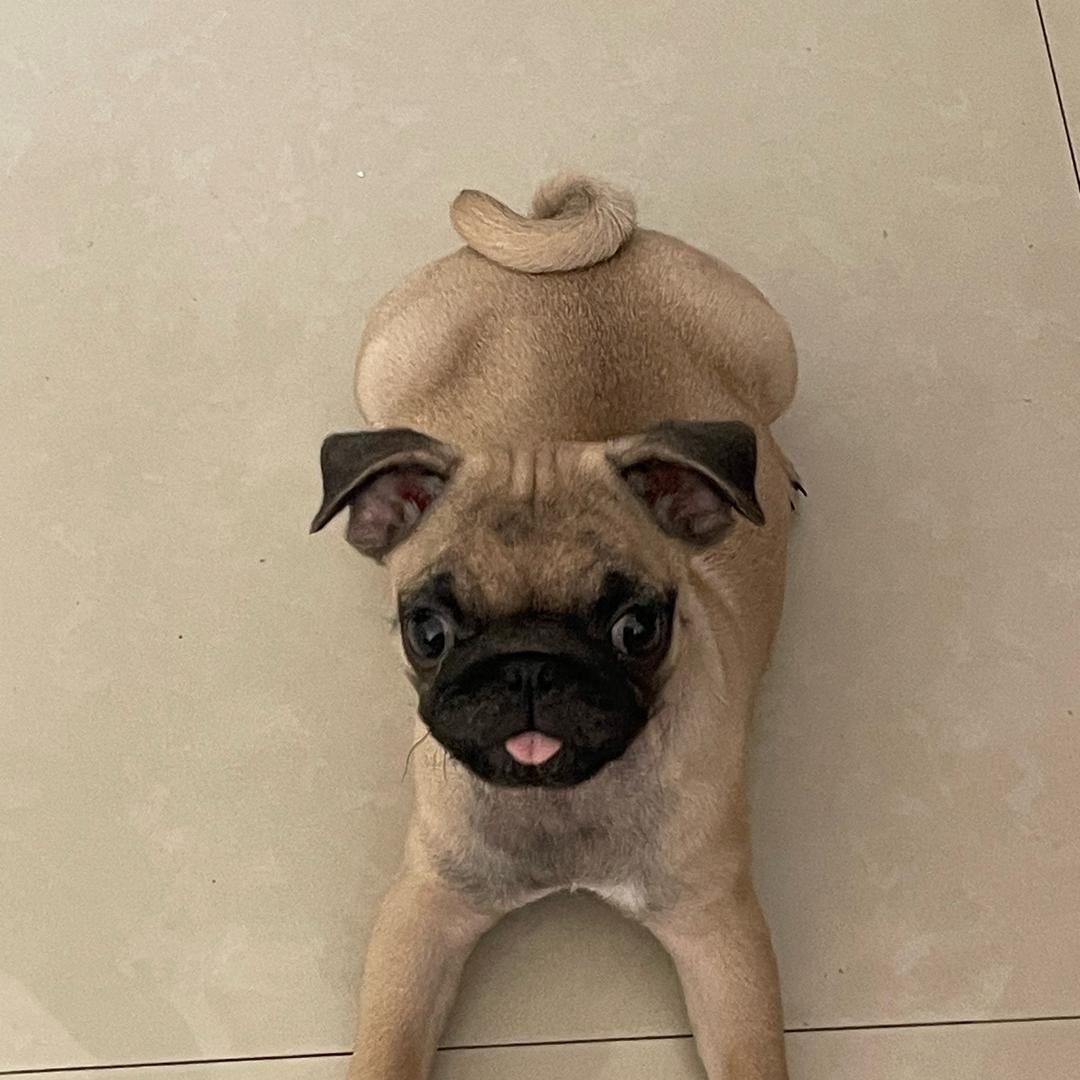 巴豆子的那点事儿