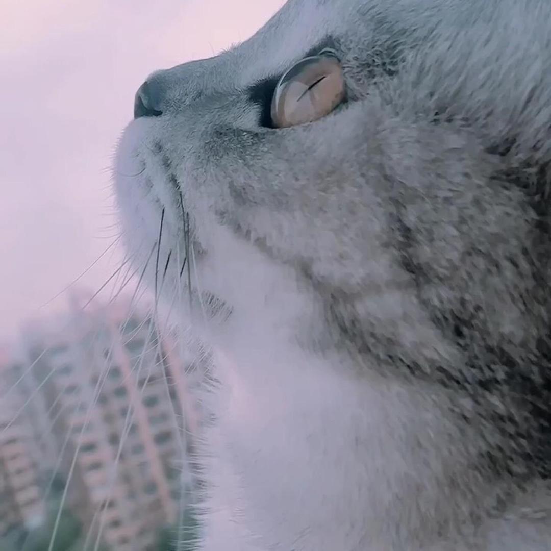 专业和优秀的摄影师