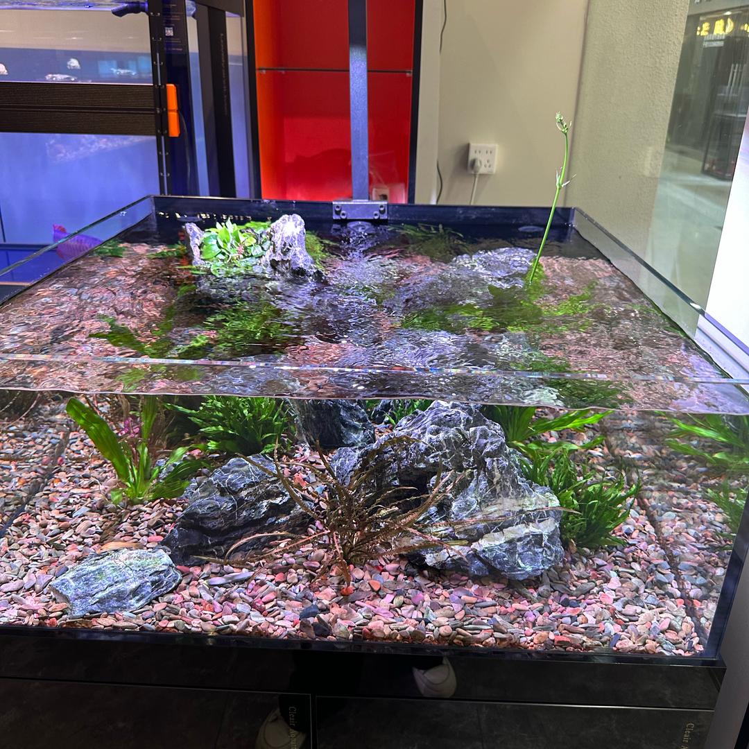 老六水族馆