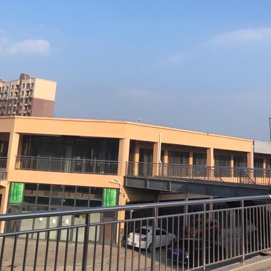招财猫小伙伴