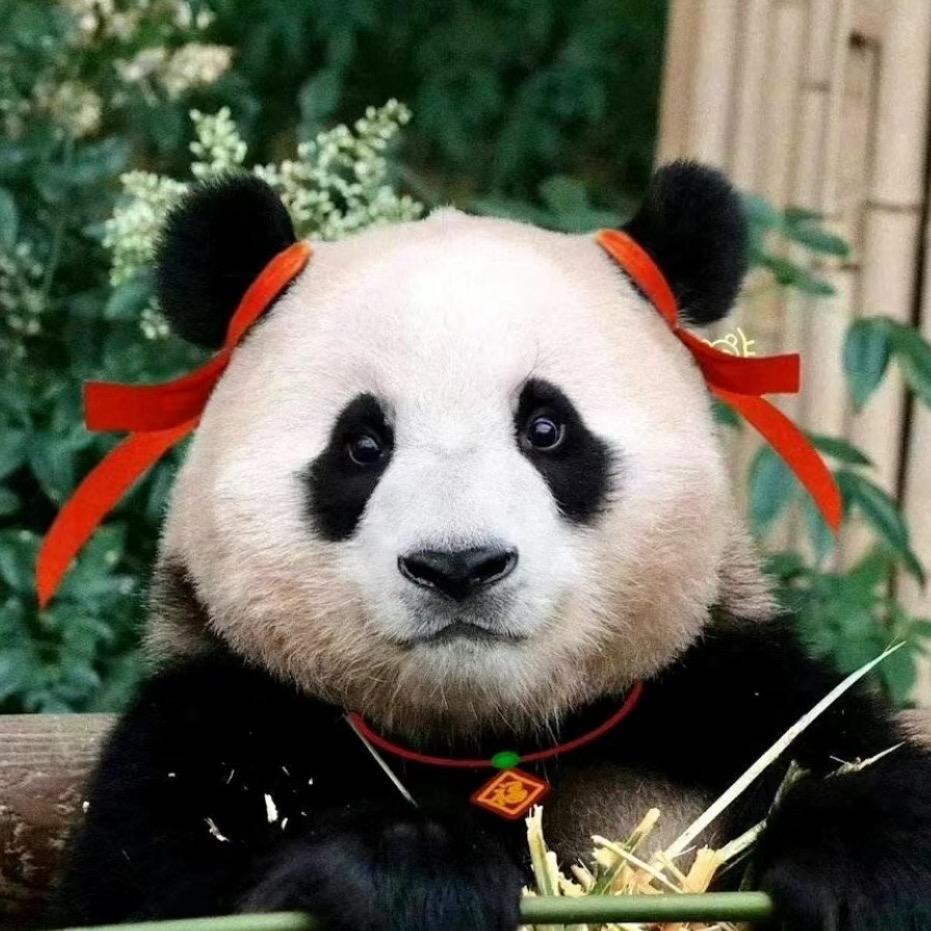 冬冬爱玩❤️