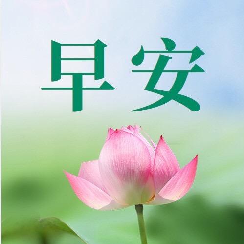 每日早安祝福