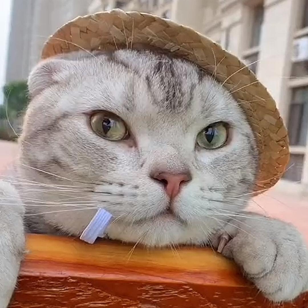 庆🥰