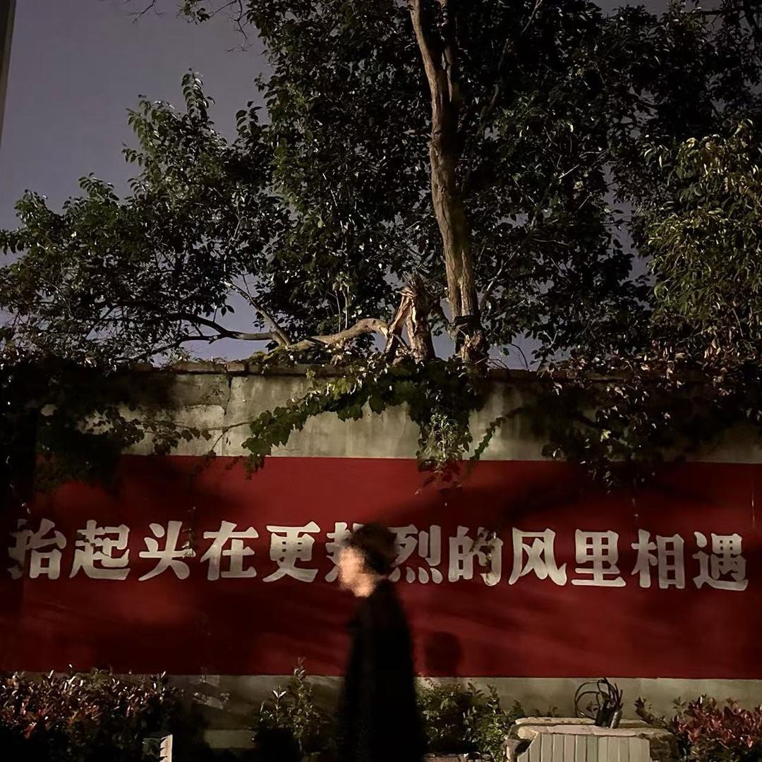 小马的🐎