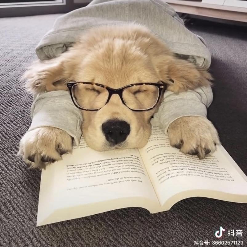 我又睡着了