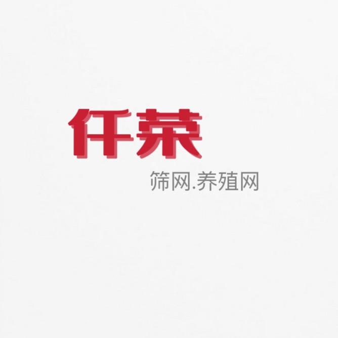 安平县仟荣筛网