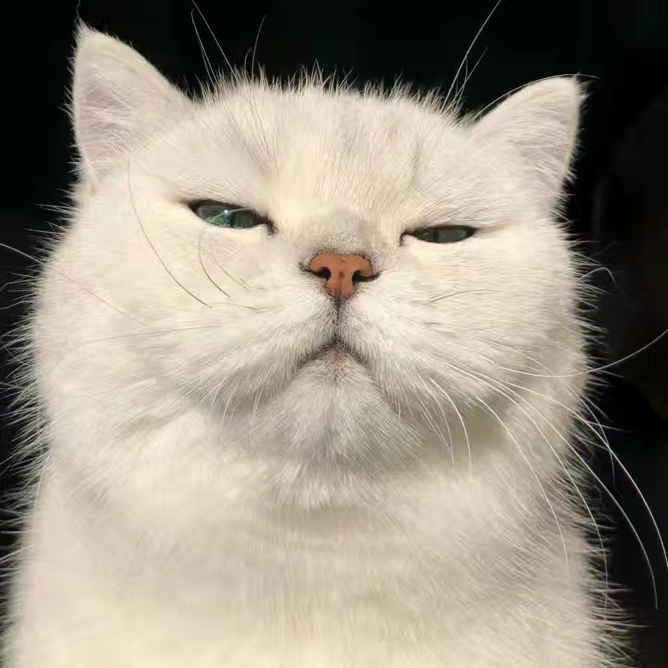 睡个好觉。