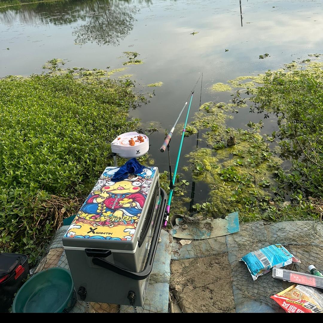 姓高却不是富帅