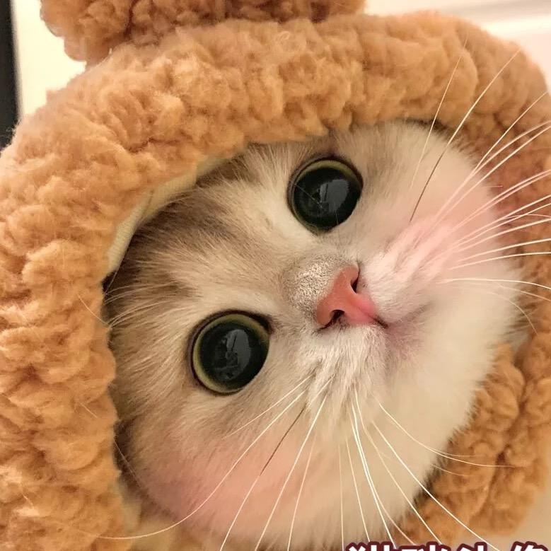 ꧔ꦿ℘大☬奇奇℘⸙